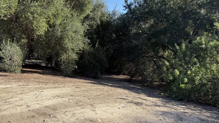 Enlarge photo 31