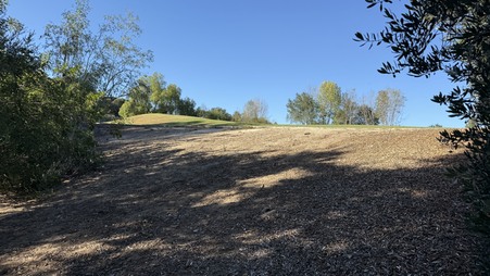 Enlarge photo 33
