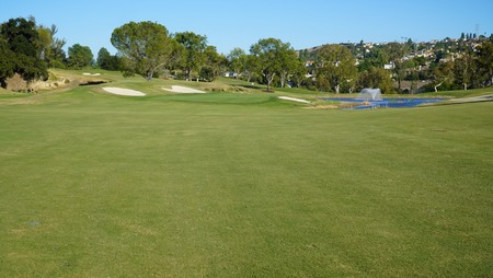 Hole 6 - Trails