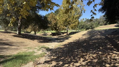 Enlarge photo 25