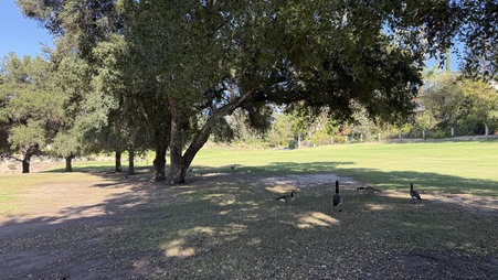 Enlarge photo 33