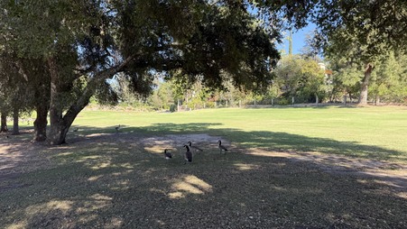 Enlarge photo 34