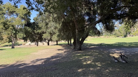Enlarge photo 35