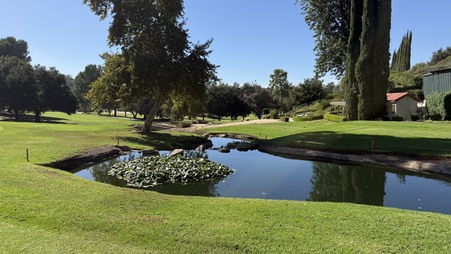 Enlarge photo 46