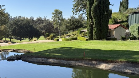 Enlarge photo 47