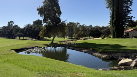Enlarge photo 49