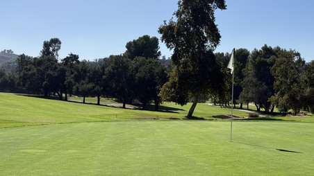 Enlarge photo 55