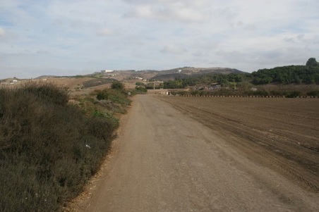 Enlarge photo 10