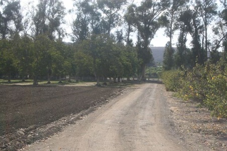 Enlarge photo 11