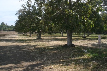 Enlarge photo 16