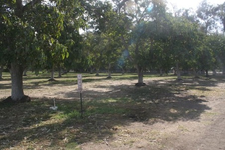 Enlarge photo 17