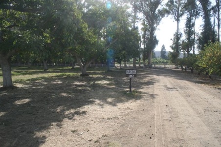Enlarge photo 18