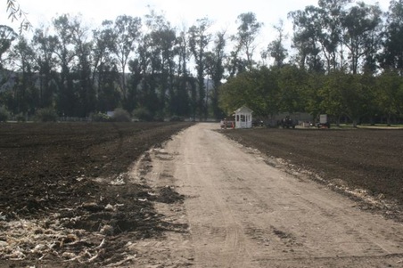 Enlarge photo 26