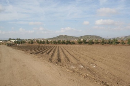 Enlarge photo 30