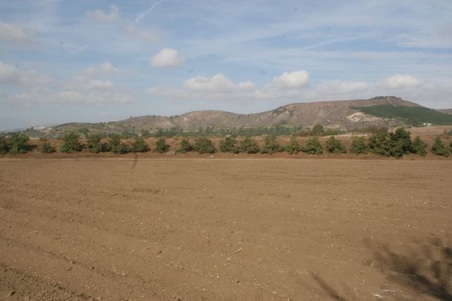 Enlarge photo 28
