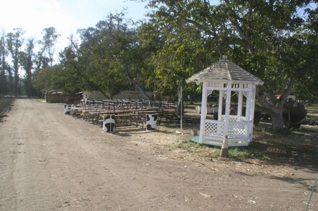 Enlarge photo 31