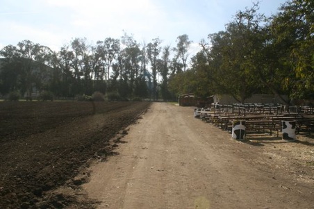 Enlarge photo 32