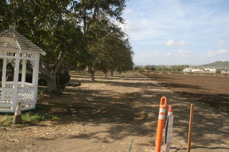 Enlarge photo 34