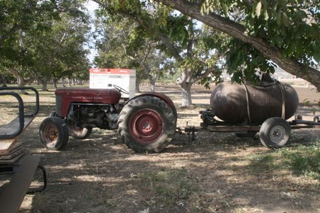 Enlarge photo 33