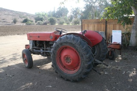 Enlarge photo 36