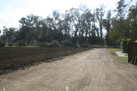Enlarge photo 40