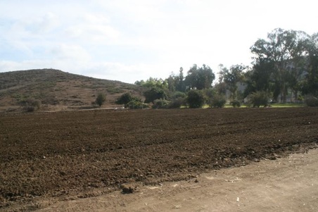 Enlarge photo 39