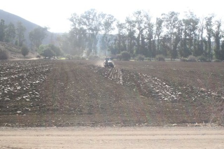 Enlarge photo 41