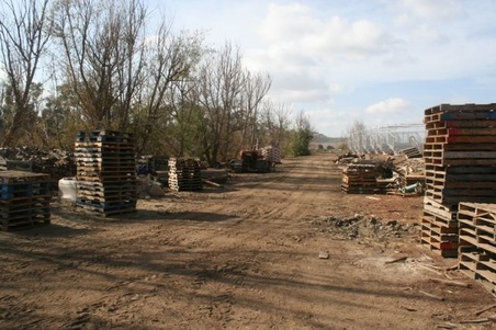 Enlarge photo 76