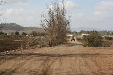Enlarge photo 83