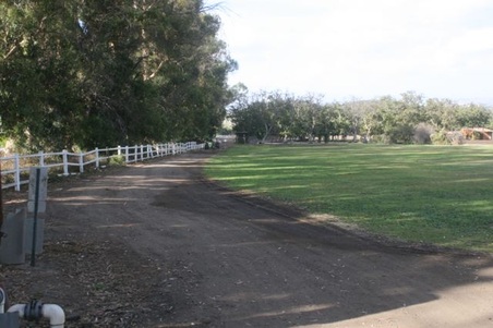 Enlarge photo 88