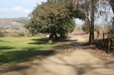Enlarge photo 90