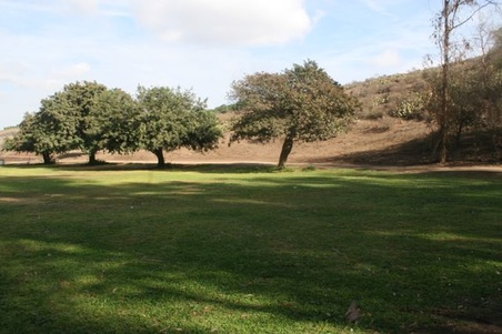 Enlarge photo 96