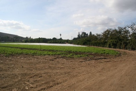 Enlarge photo 97