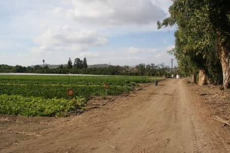 Enlarge photo 106