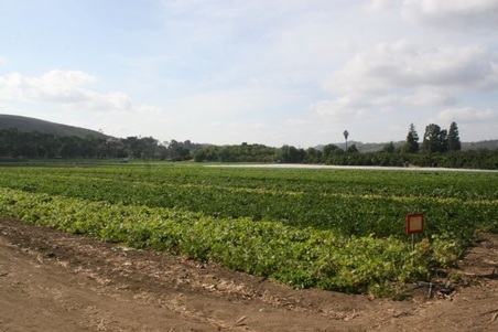 Enlarge photo 108