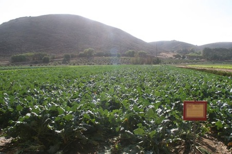 Enlarge photo 114