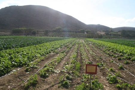 Enlarge photo 117