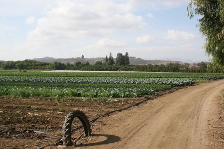 Enlarge photo 127