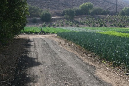 Enlarge photo 129