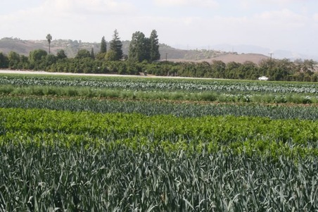 Enlarge photo 131