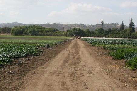 Enlarge photo 136
