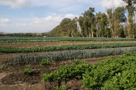 Enlarge photo 140
