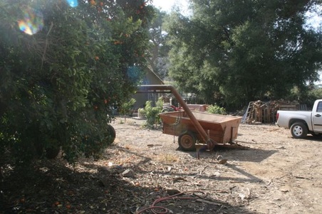 Enlarge photo 174