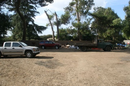 Enlarge photo 175