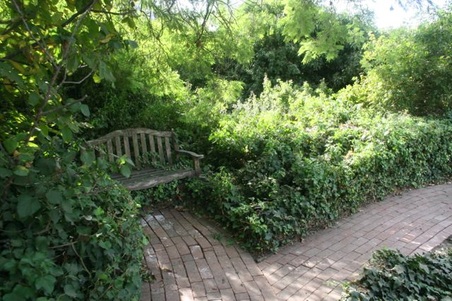 Enlarge photo 187