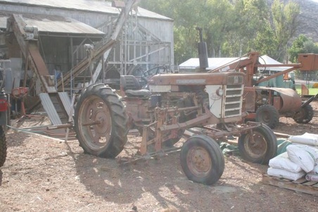 Enlarge photo 219