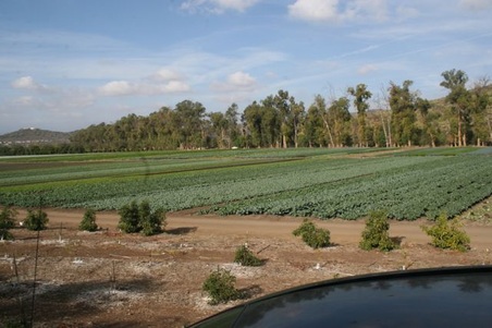 Enlarge photo 228