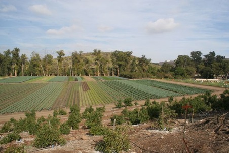 Enlarge photo 229