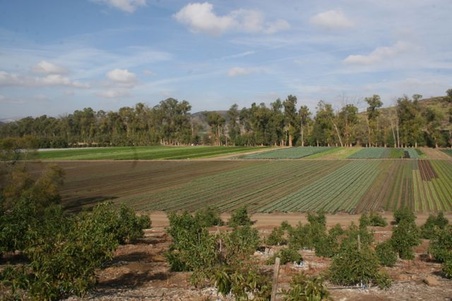 Enlarge photo 227