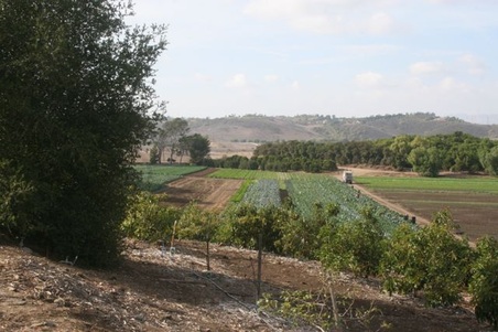 Enlarge photo 233